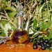 Le strade dell’olio: in Puglia alla scoperta dell’Oro verde